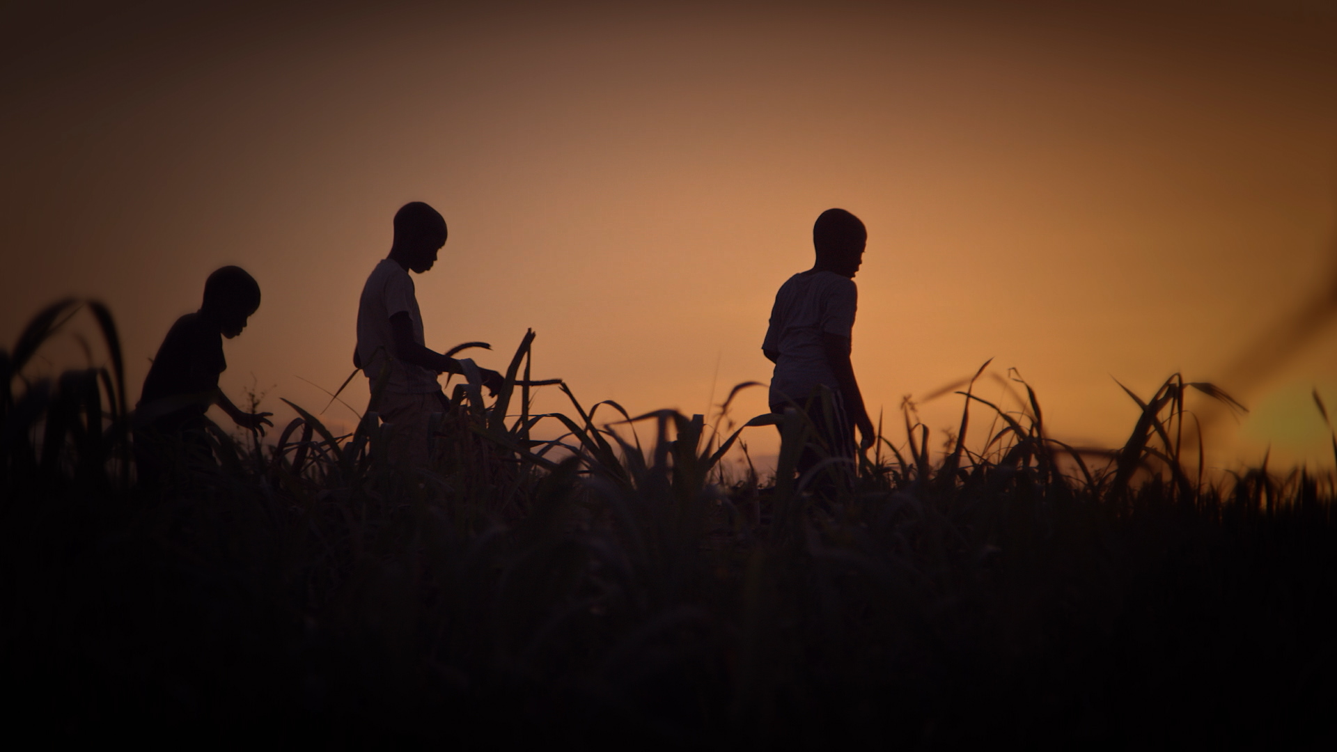 BlackStar Film Festival Wraps Up 9th Year, Announces Winners for 2020 Competition
